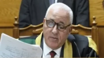 تأجيل محاكمة 11 متهماً.. تطورات جديدة في قضية خلية حلوان منتصف أبريل المقبل